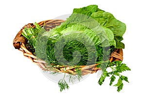 Greens, vegetables in basket