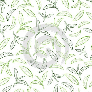 Greentea leaves line art on white background.