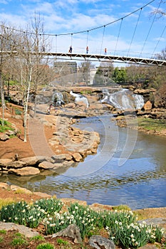 Greenville SC Liberty Bridge Falls Park Reedy River