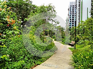 Greenway at Bidadari housing estate