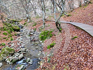 Greenway in Faedo de Cinera, Cinera de Gordon, Leon, Spain