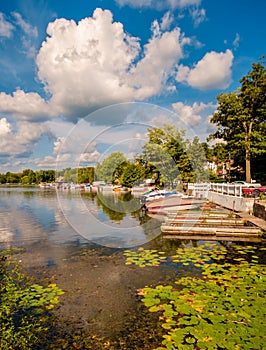 Greenwood Lake NY Summer photo