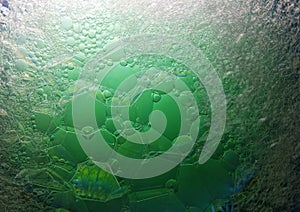Greeny abstract macro of soap bubble use as backgrounds or wallpaper backdrop