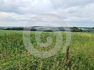 Greeny grass of West Yorkshire