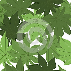 Greeny leaves seamless pattern on white background. Bright leaves endless wallpaper