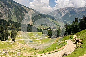 Greeny or summer season in Sonamarg, Jammu Kashmir, Himalaya mountains range in India