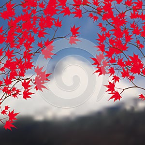 Greeting card with autumn landscape. Red maple leaves on branches on both sides. Japanese red maple on a background of