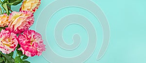 Greeting card background, roses on a green-blue background with copy space