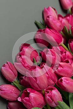 Greeting card with beautiful red tulip flowers on a marble background. Spring summer holidays celebration