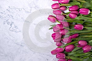 Greeting card with beautiful tulip flowers on a marble background. holidays celebration