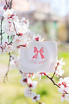 Greeting card with best wishes surrounded by flowering branches of spring trees