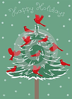 Greeting card with birds red cardinal sitting on the Christmas tree. Vector graphics