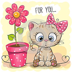 Greeting card Cat with flower