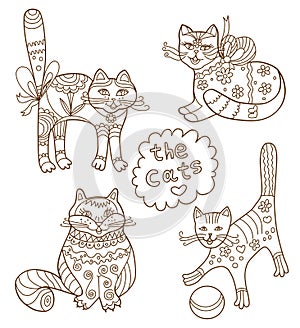 Greeting card with cats