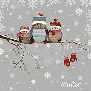 Greeting card with Christmas owls on branch in winter