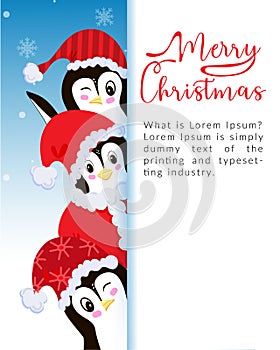 Greeting card with Christmas penguins. Gift, garland, cocoa and postcard. Vector illustration in a flat style.