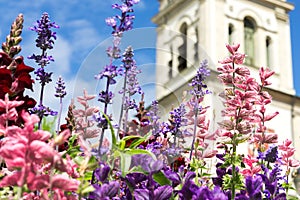 Greeting Card with colorful flower and church. Beautiful summer flowers. photo