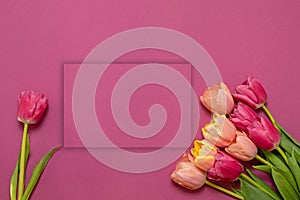 Greeting card with colorful spring tulips flower. Holiday bouquet. Concept of Mother`s Day, Birthday or Valentine`s Day