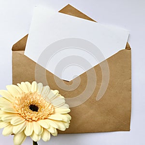 Greeting card concept with envelope and gerbera flower. Blank paper postcard, vintage envelope and gerbera flowers