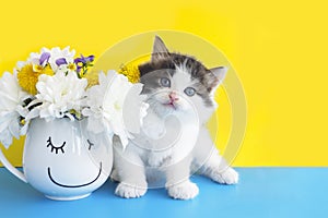 greeting card cute fluffy kitten next to a mug with flowers on a yellow-blue background.