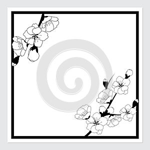 Greeting card design template with a cherry blossom branch. Vector
