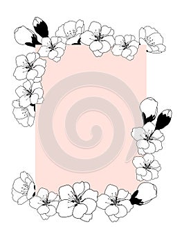 Greeting card design template with a cherry blossom branch. Vector