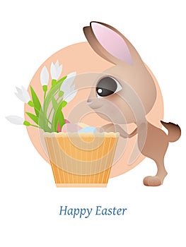 Greeting card with Easter rabbit. Funny Easter Bunny.