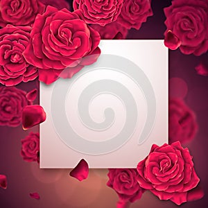 Greeting card with empty paper field with roses on a background.