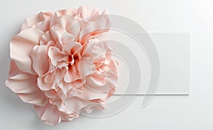 Greeting card with flower blossom in the color Peach Fuzz