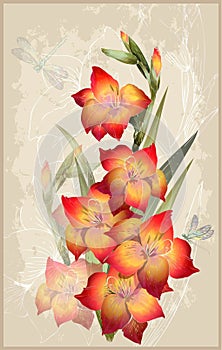 Greeting card with gladiolus.