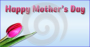 Greeting card happy mother`s day tulip. An undisclosed beautiful tulip is located in the lower left corner.