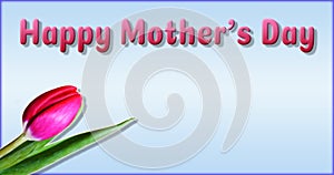 Greeting card happy mother`s day tulip. An undisclosed beautiful tulip is located in the lower left corner. photo