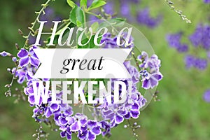 Greeting card - Have a great weekend. With beautiful purple flowers background. Nice weekend concept photo