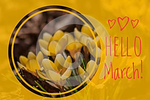 Greeting card hello march Welcome card the beginning of spring