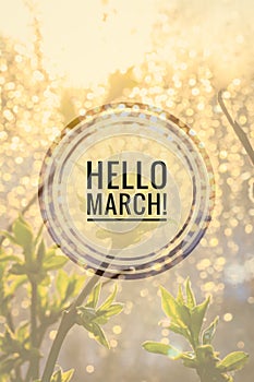 Greeting card hello march Welcome card the beginning of spring