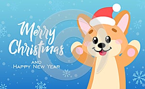 Greeting card with the inscription Merry Christmas and cute welsh corgi.