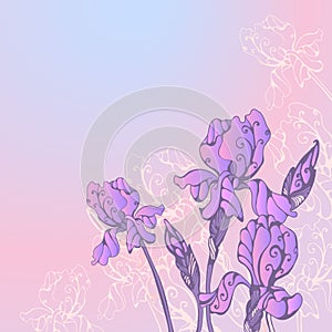 Greeting card with iris flowers