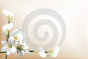 Greeting card with lilies and calla lilies photo