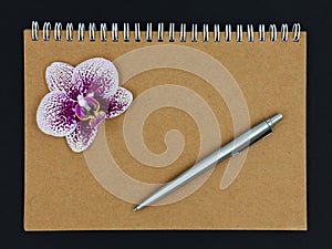 Notebook with pen and orchid flower. Copy space.