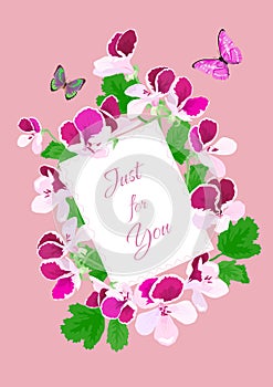 Greeting card with pansies and butterflies in pink and purple colors