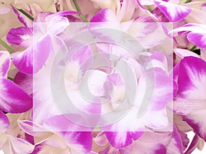 Greeting card with pink orchids