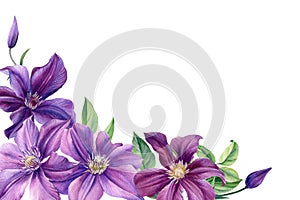 Greeting card with place for text, purple flower on white background. Clematis watercolor