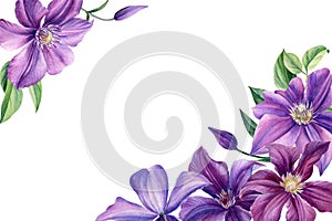 Greeting card with place for text, purple flower on white background. Clematis watercolor