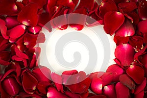 Greeting card red rose petals. with Blank Message Sign for Your Text or Message. Greeting card with a red rose petals and space