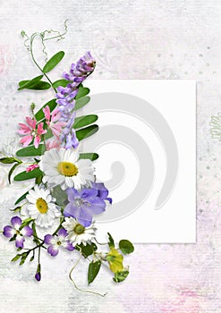 Greeting card with space for text and flowers