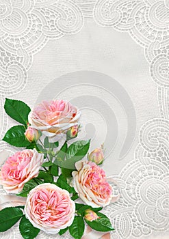 Greeting card with space for text or photo, pink roses on vintage lace background