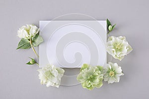 Greeting card trendy mockup or invitation template with empty blank paper sheet decorated fresh flowers flat lay