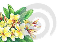 Greeting card of tropical resort flowers frangipani plumeria. photo