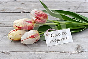 Greeting card with tulips and spanish text: Get well