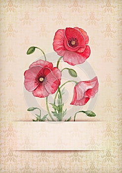 Greeting card with watercolor poppy flowers